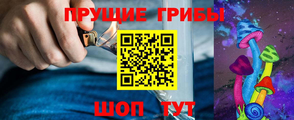 Всеволожск  Псилоцибиновые грибы прущие грибы  Вход с VPN 